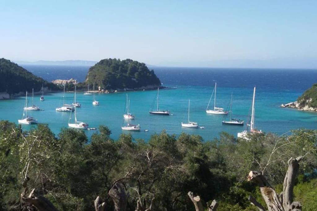 Dimitri's Seaview - Paxos Lakka (Paxos)