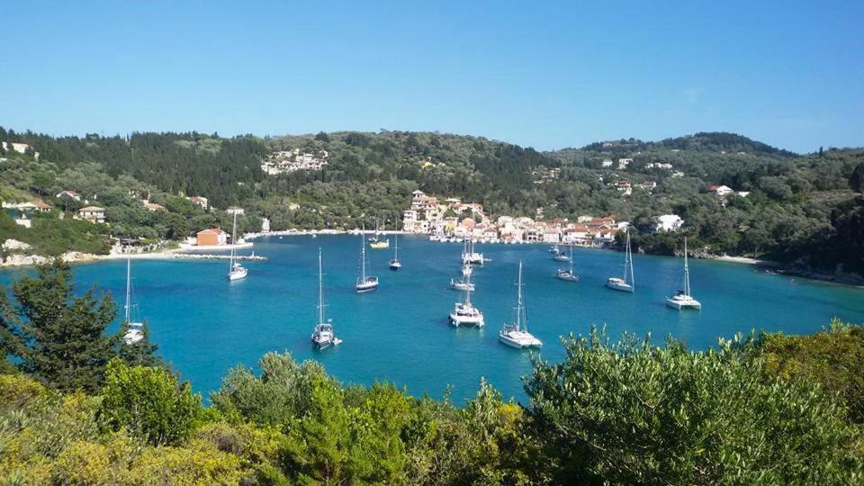 Dimitri's Seaview - Paxos Apartment Lakka (Paxos)